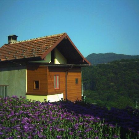 B&B Cip E Ciop Miazzina Exterior foto